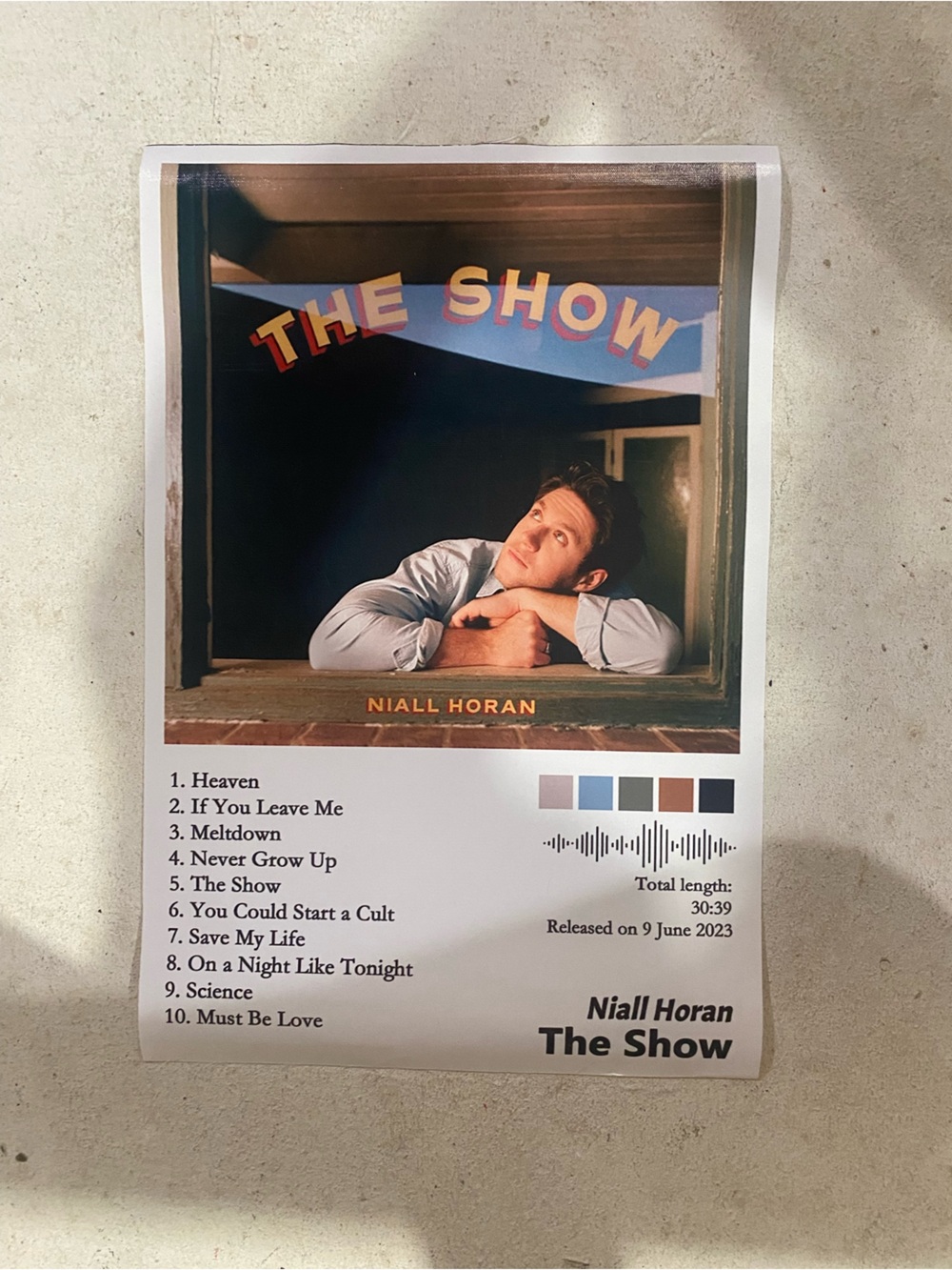 Niall Horan 'The Show' Poster - Blue and Brown Wall Art